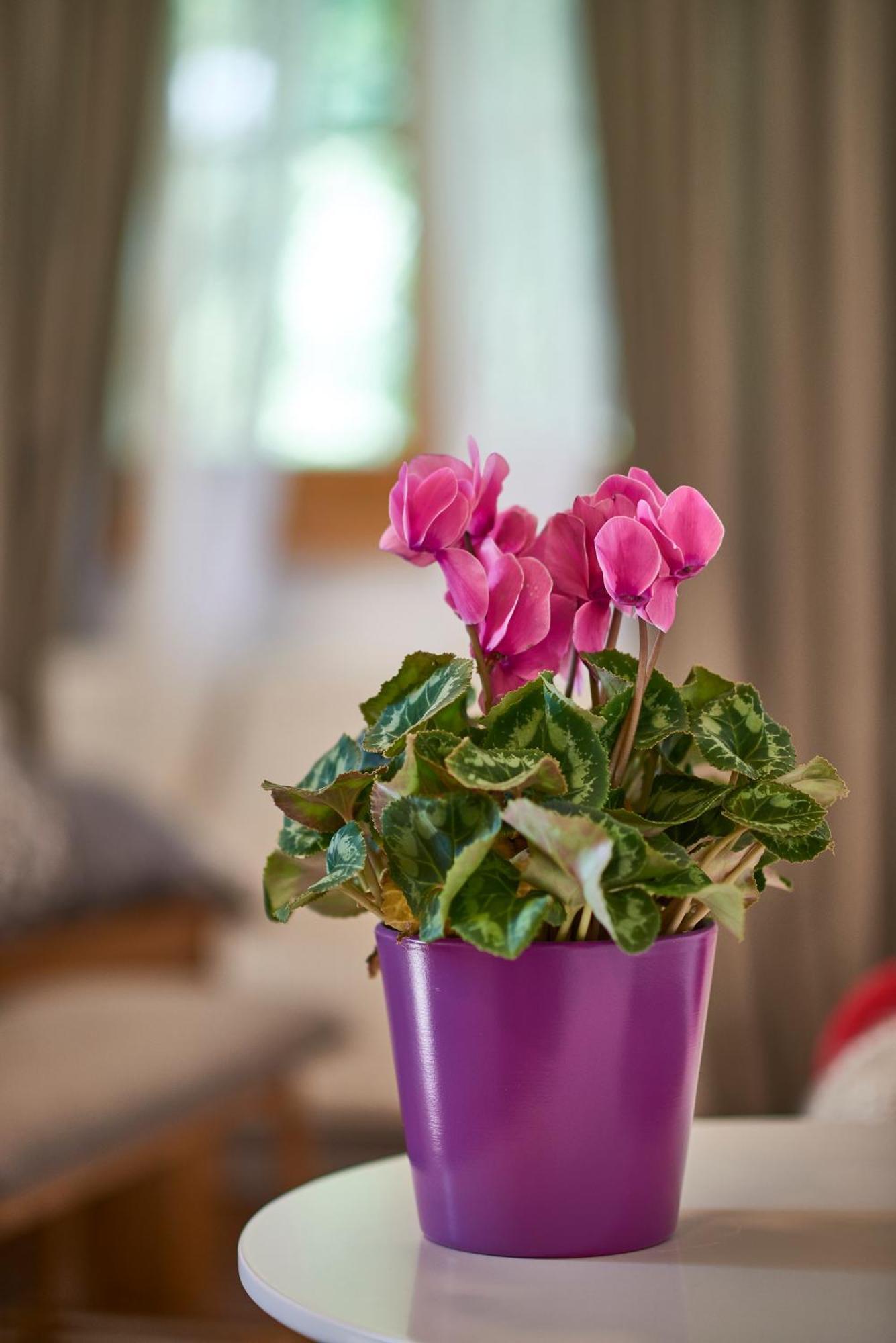 B&B Plitvica Creek Plitvica selo Rom bilde